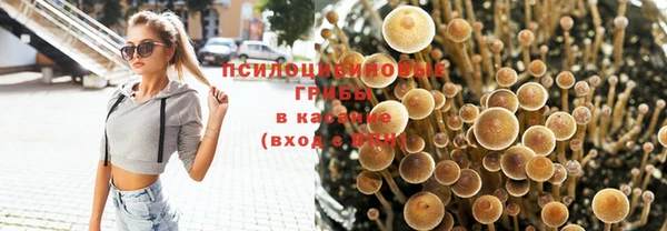 метамфетамин Белокуриха